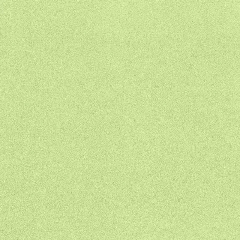 Plain Anti-Pil Fleece Mint